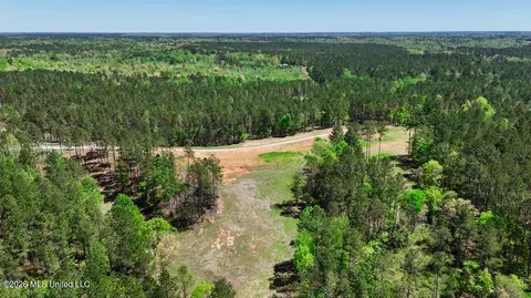 Other - 333 Beaverdam Rd, Camden, MS 39045 photo 37 of 54