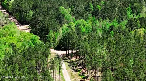 Other - 333 Beaverdam Rd, Camden, MS 39045 photo 31 of 54