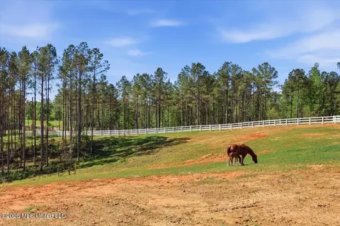 Other - 333 Beaverdam Rd, Camden, MS 39045 photo 5 of 54