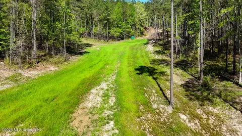 Other - 333 Beaverdam Rd, Camden, MS 39045 photo 42 of 54