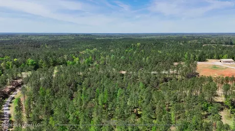Other - 333 Beaverdam Rd, Camden, MS 39045 photo 39 of 54