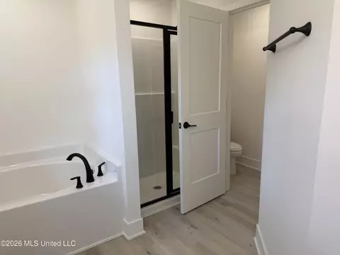 Bath - 8985 Jackson Ln, Olive Branch, MS 38654 photo 3 of 5