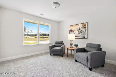 Other - 8997 Jackson Ln, Olive Branch, MS 38654 photo 3 of 4