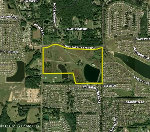 View/Area - 300 Catlett Rd, Madison, MS 39110 photo 3 of 35