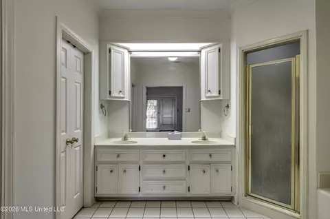 Bath - 208 Azalea Ct, Brandon, MS 39047 photo 5 of 7