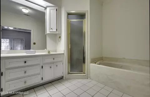 Bath - 208 Azalea Ct, Brandon, MS 39047 photo 3 of 7