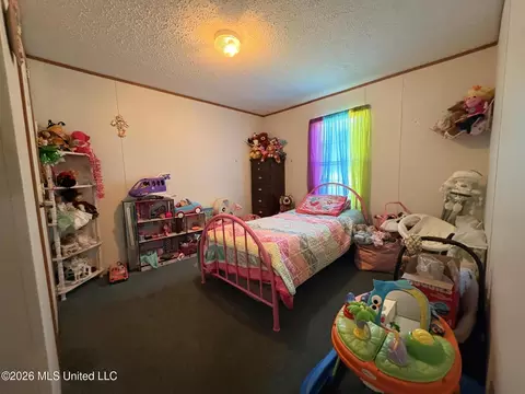 109 Prairie Creek Rd, Morton, MS 39117 photo 14
