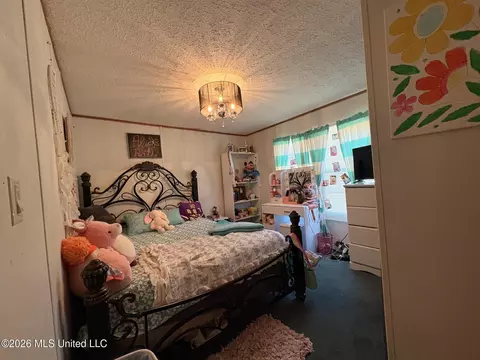 109 Prairie Creek Rd, Morton, MS 39117 photo 15