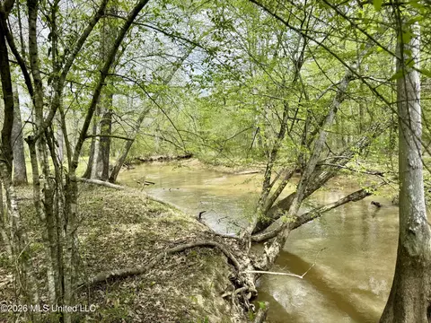Duram Road, Olive Branch, MS 38654 photo 21