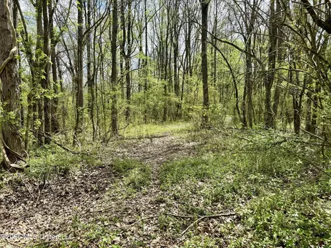 Duram Road, Olive Branch, MS 38654 photo 2