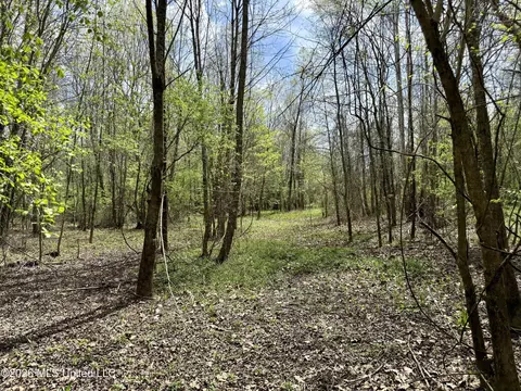 Duram Road, Olive Branch, MS 38654 photo 17