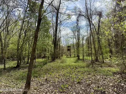 Duram Road, Olive Branch, MS 38654 photo 18