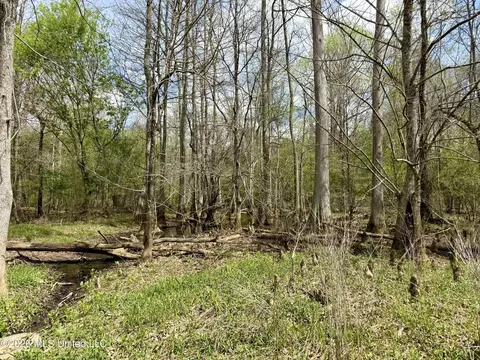 Duram Road, Olive Branch, MS 38654 photo 19