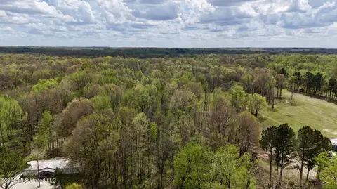 Duram Road, Olive Branch, MS 38654 photo 3