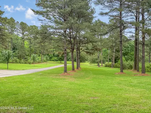 Exterior - 2039 Perrott Rd, Mccomb, MS 39648 photo 6 of 9