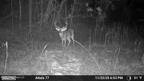 Old Trace Road, Mccool, MS 39108