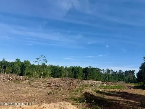 Rutland Road, Jayess, MS 39641 photo 73