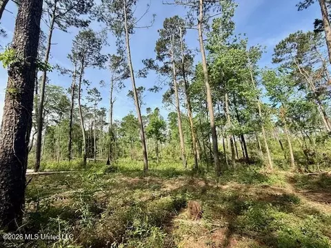 Rutland Road, Jayess, MS 39641 photo 68