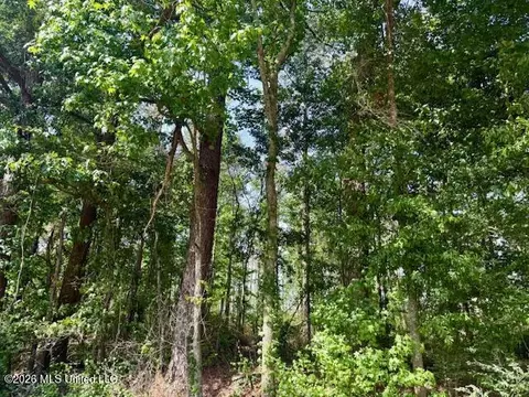 Rutland Road, Jayess, MS 39641 photo 52