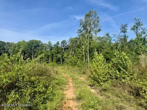 Rutland Road, Jayess, MS 39641 photo 11