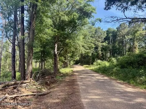Rutland Road, Jayess, MS 39641 photo 60
