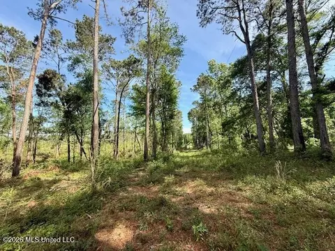 Rutland Road, Jayess, MS 39641 photo 67