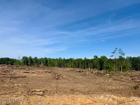 Rutland Road, Jayess, MS 39641 photo 72