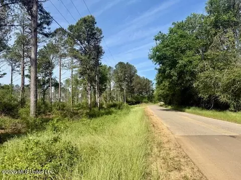 Rutland Road, Jayess, MS 39641 photo 29