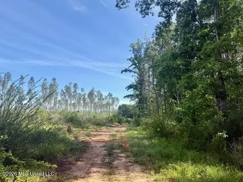 Rutland Road, Jayess, MS 39641 photo 27