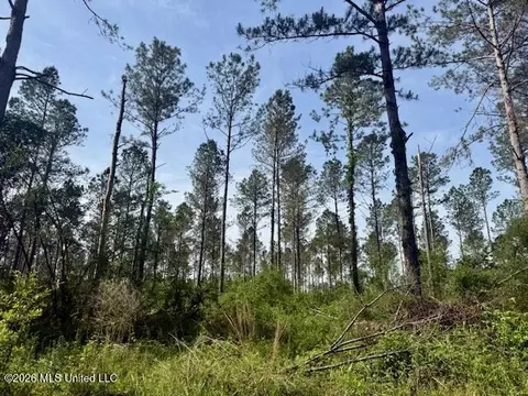 Rutland Road, Jayess, MS 39641 photo 53