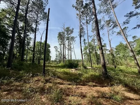 Rutland Road, Jayess, MS 39641 photo 69