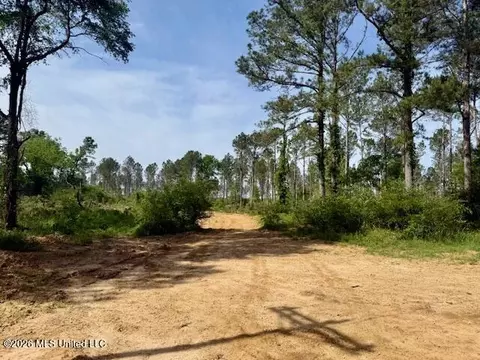 Rutland Road, Jayess, MS 39641 photo 30