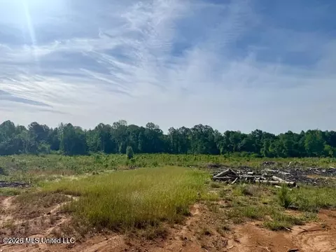 Rutland Road, Jayess, MS 39641 photo 8