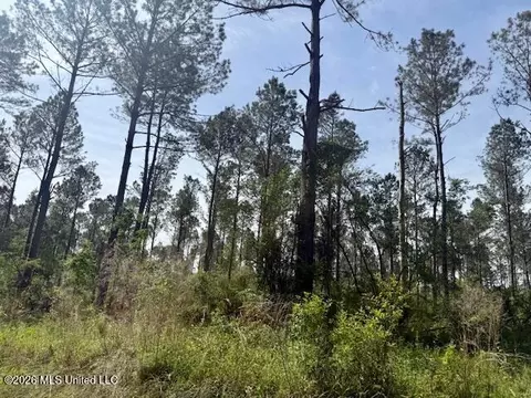 Rutland Road, Jayess, MS 39641 photo 54