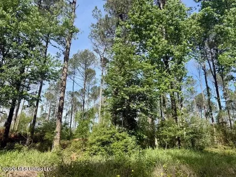 Rutland Road, Jayess, MS 39641 photo 48