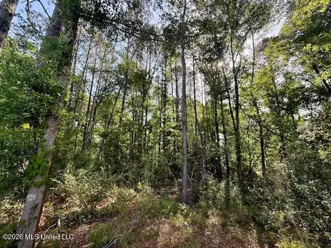 Rutland Road, Jayess, MS 39641 photo 4