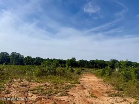 Rutland Road, Jayess, MS 39641 photo 6