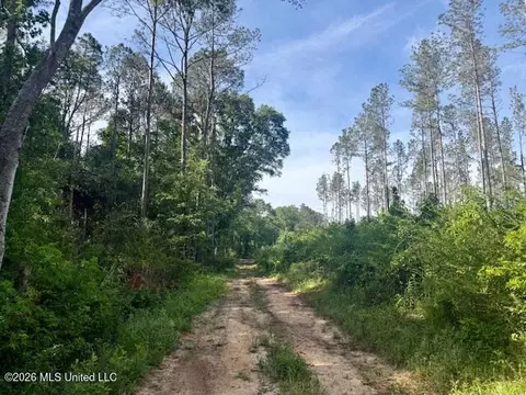 Rutland Road, Jayess, MS 39641 photo 2