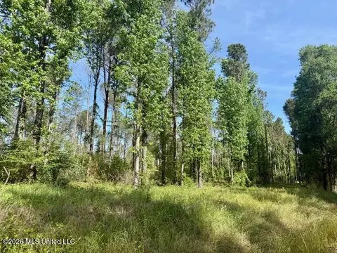 Rutland Road, Jayess, MS 39641 photo 49