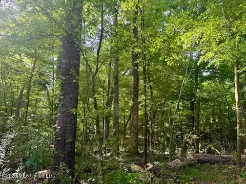 Rutland Road, Jayess, MS 39641 photo 14