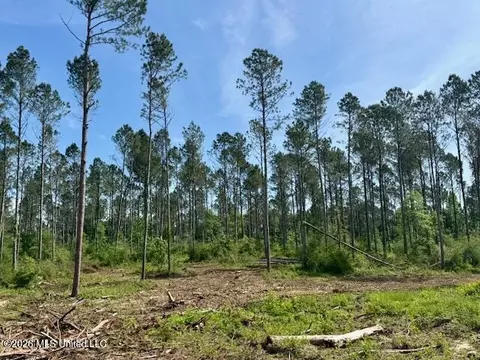 Rutland Road, Jayess, MS 39641 photo 38