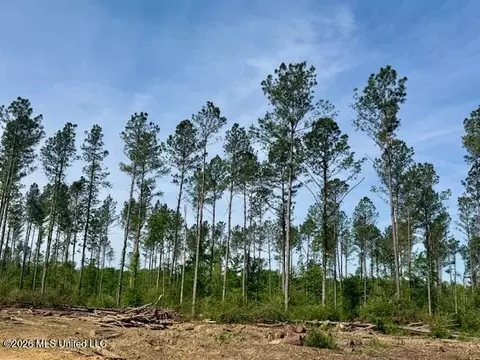 Rutland Road, Jayess, MS 39641 photo 43