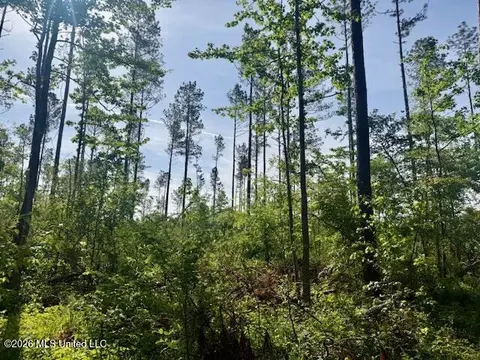 Rutland Road, Jayess, MS 39641 photo 24