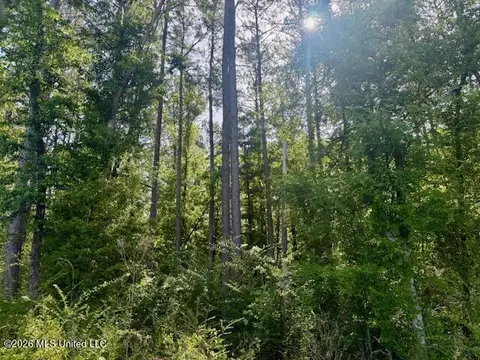 Rutland Road, Jayess, MS 39641 photo 26