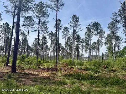 Rutland Road, Jayess, MS 39641 photo 55