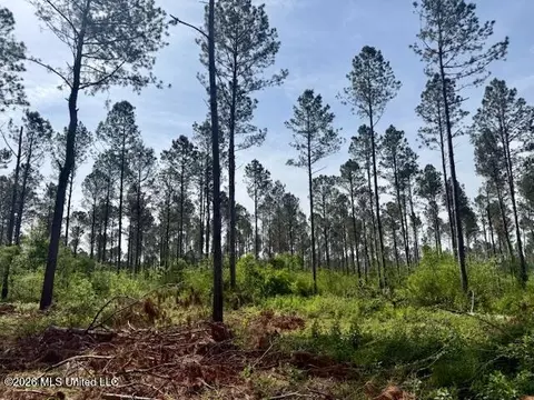 Rutland Road, Jayess, MS 39641 photo 57