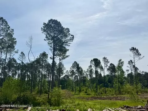 Rutland Road, Jayess, MS 39641 photo 35