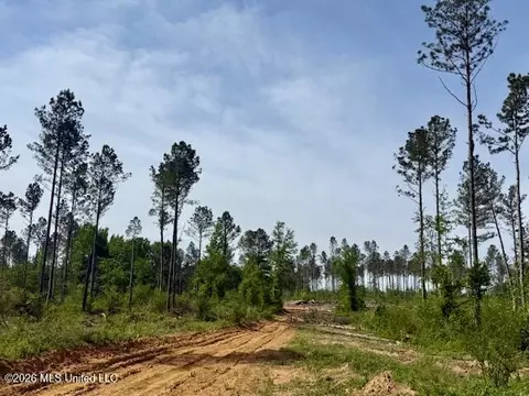 Rutland Road, Jayess, MS 39641 photo 44