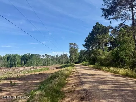 Rutland Road, Jayess, MS 39641 photo 75