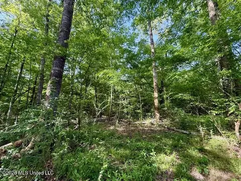 Rutland Road, Jayess, MS 39641 photo 13